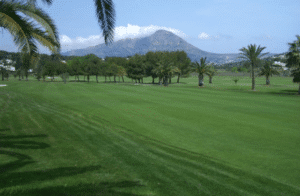 Гольф Клуб Хавеи, рай для любителей гольфа на Коста Бланке